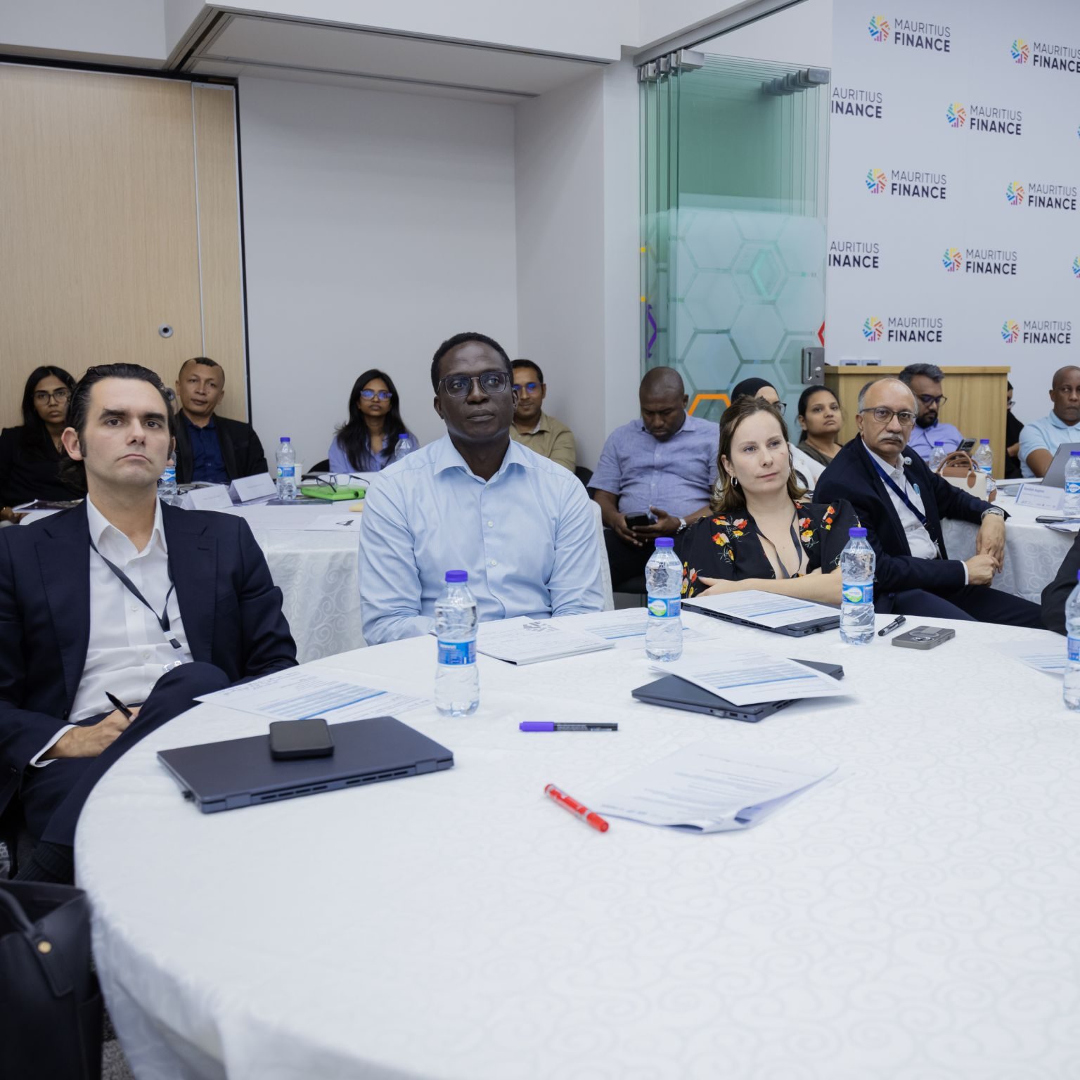 Participants at the Mauritius Finance GSS Bonds Executive Workshop