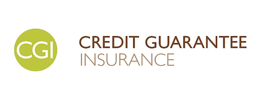 Credit Guarantee Insurance Co. Ltd
